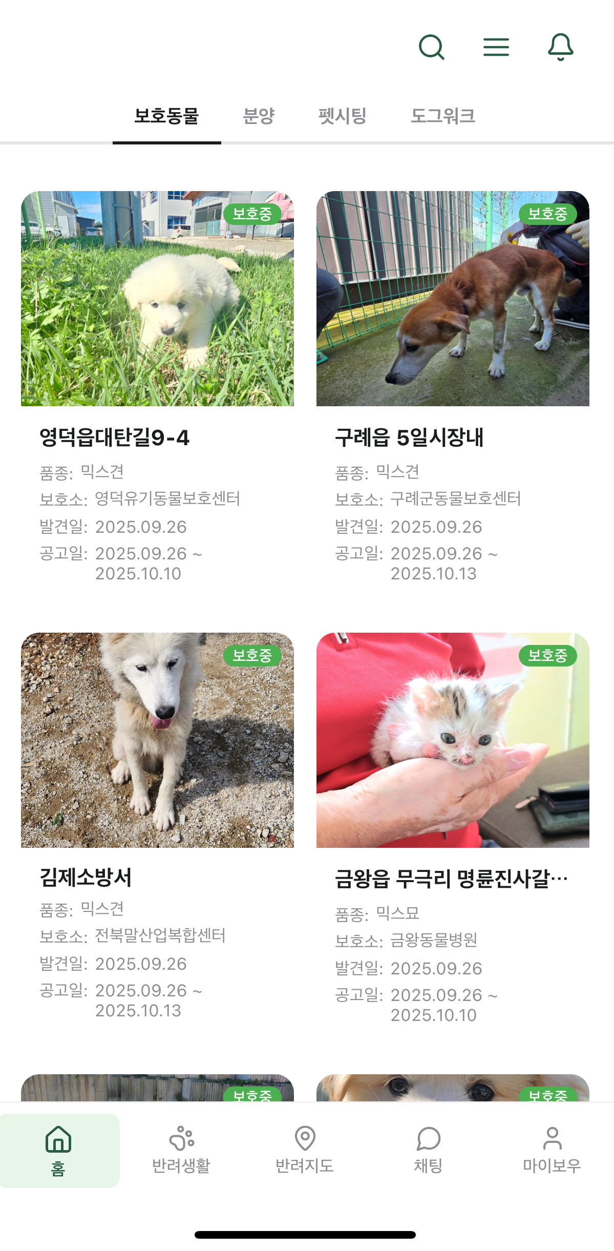 보호동물 리스트